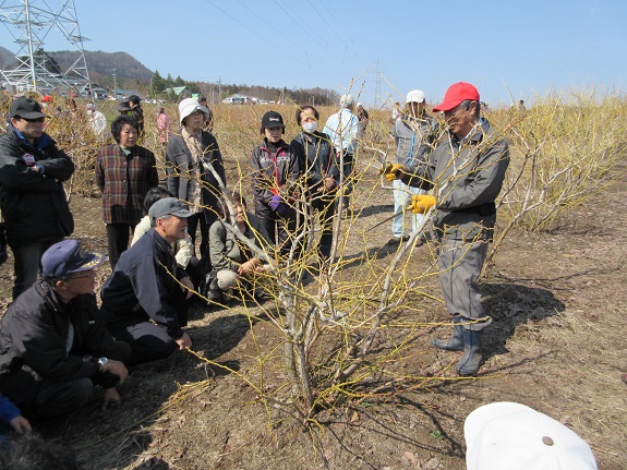 kousyukai20150122_2