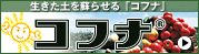 head_logo