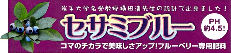 head_logo