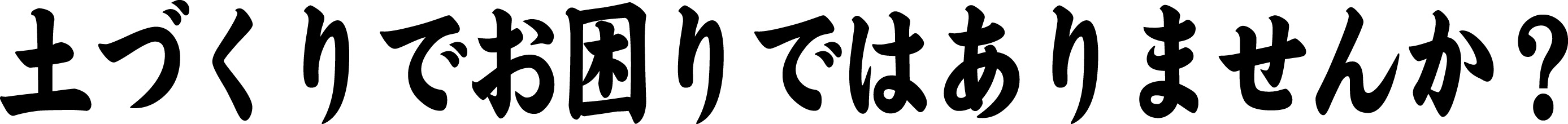 head_logo